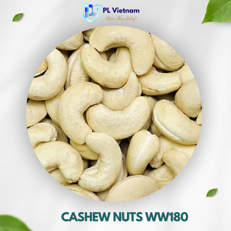 Cashew Kernels - PL Vietnam