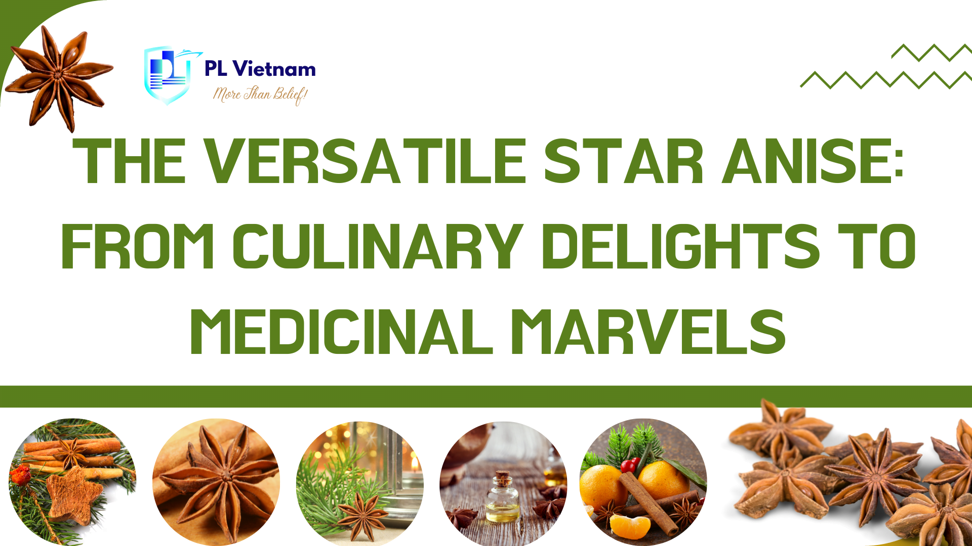 Unwrap the Mystery of Chinese Cloves: A Rich History, Medicinal Marvels, and Culinary Delights